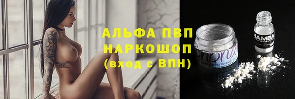 Альфа ПВП Арсеньев
