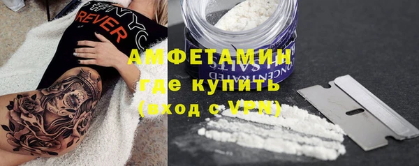 индика Армянск