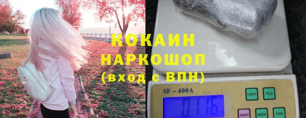 индика Армянск