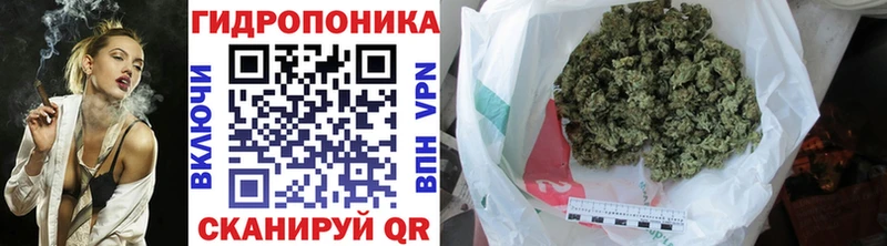 Шишки марихуана White Widow  МЕГА ССЫЛКА  Дедовск 
